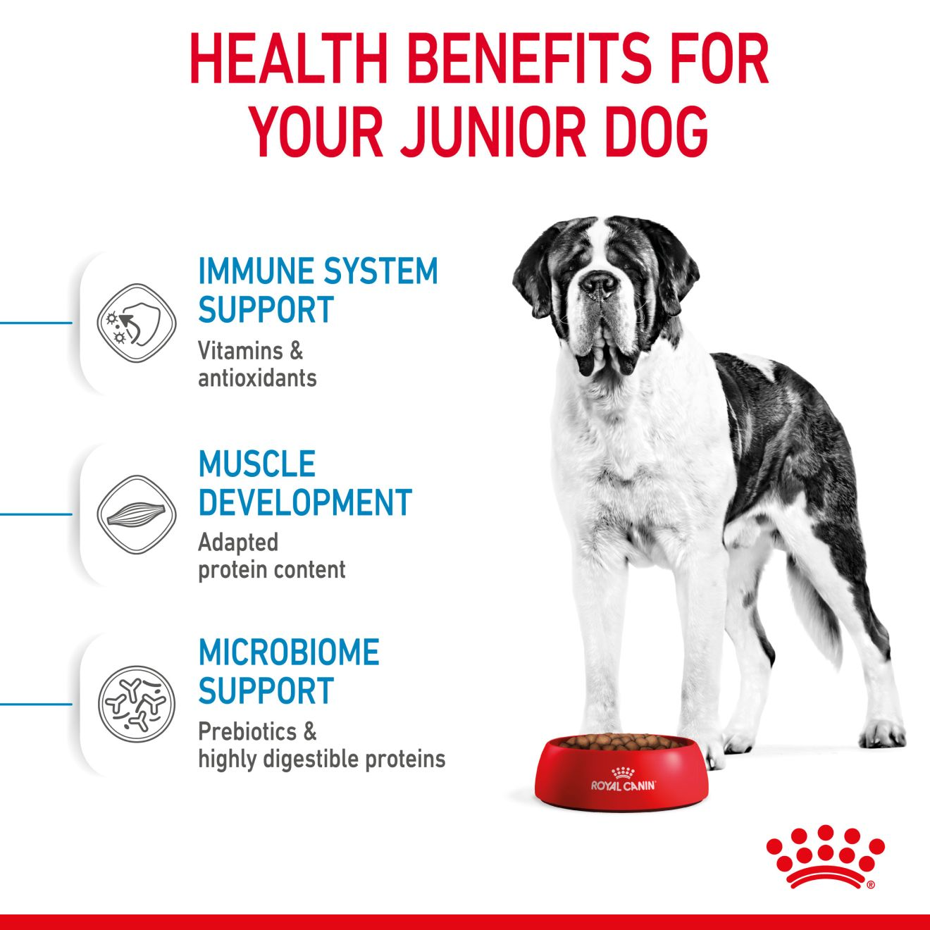 Royal Canin Giant Junior Dry Dog Food
