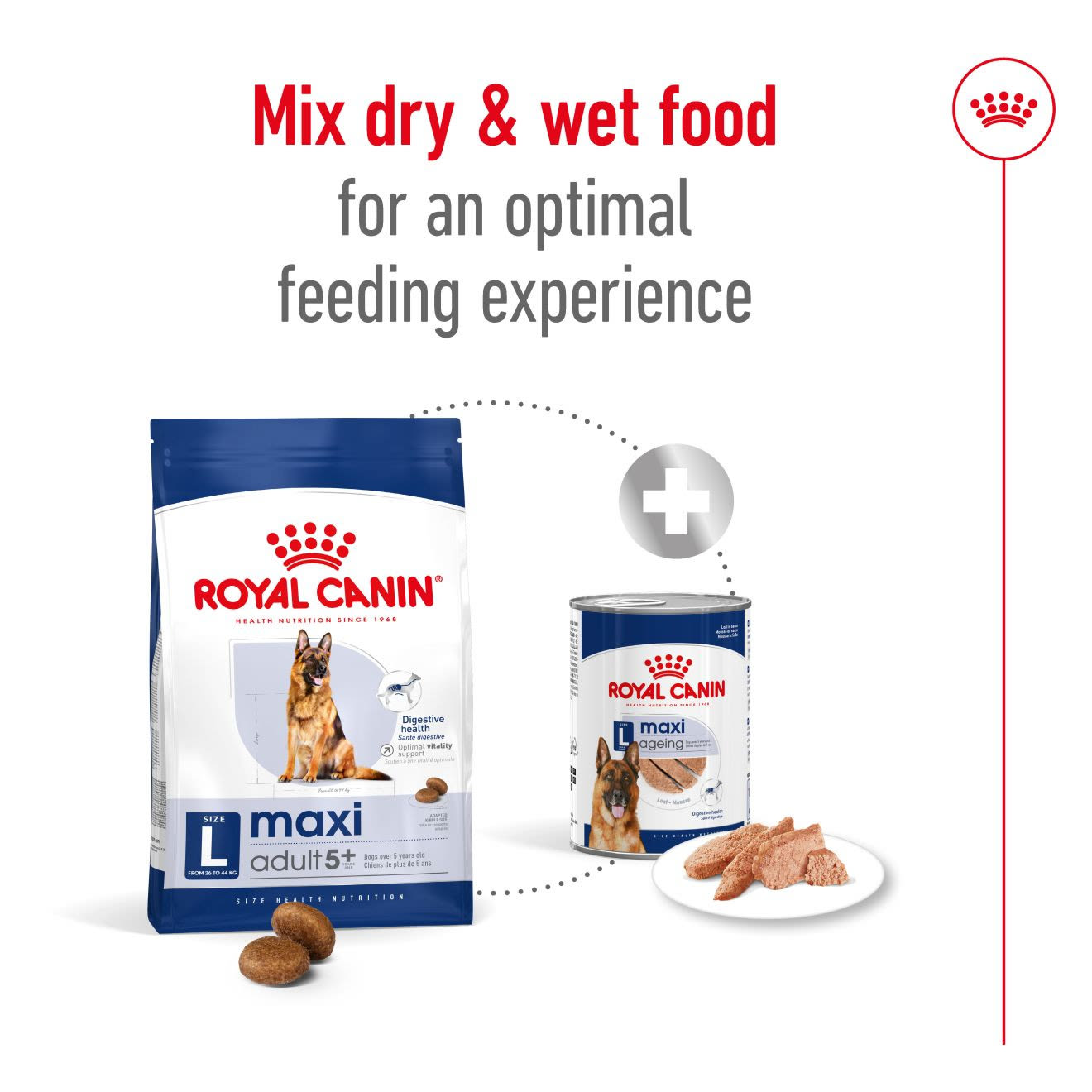 Royal Canin Maxi Adult 5+ Dry Dog Food