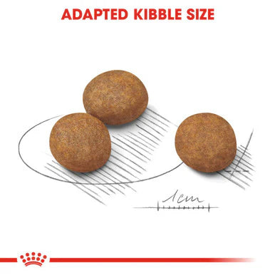 Royal Canin Maxi Puppy Dry Dog Food