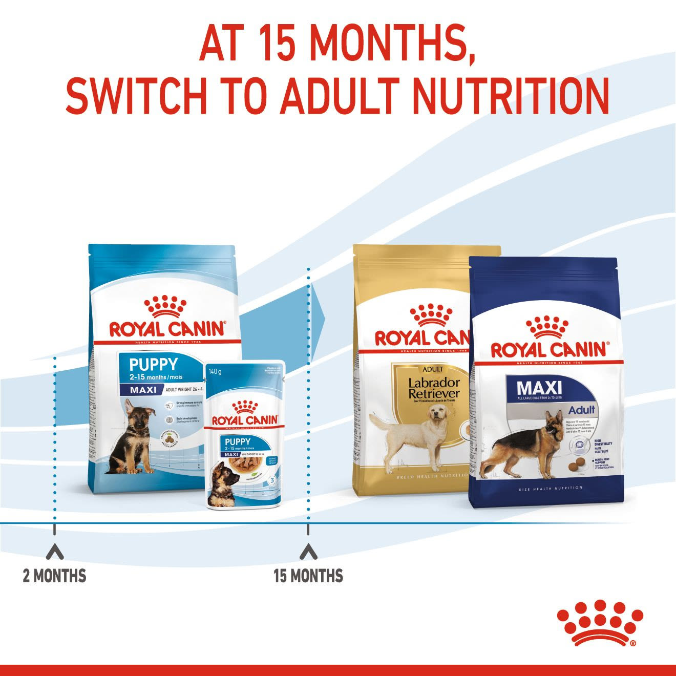 Royal Canin Puppy Maxi Dry Food