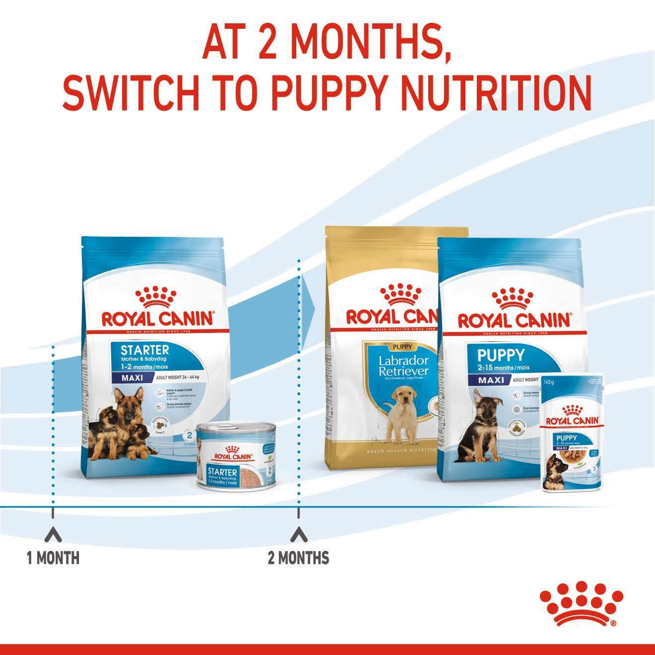 Royal Canin Starter Maxi Mother and Babydog Dry Dog Food