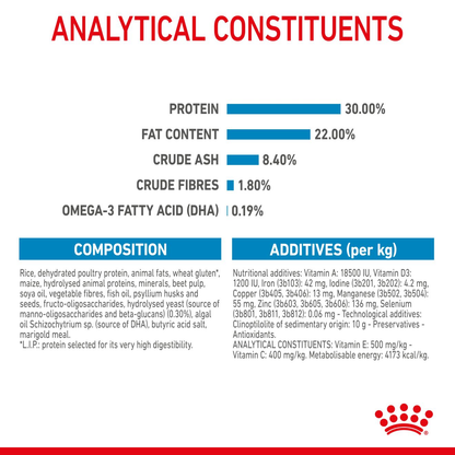 Royal Canin Starter Maxi Mother and Babydog Dry Dog Food