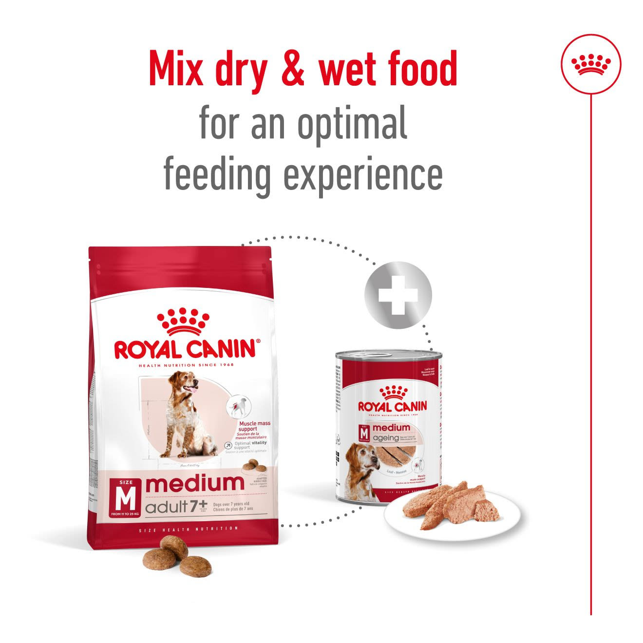 Royal Canin Medium Adult 7+ Dry Dog Food