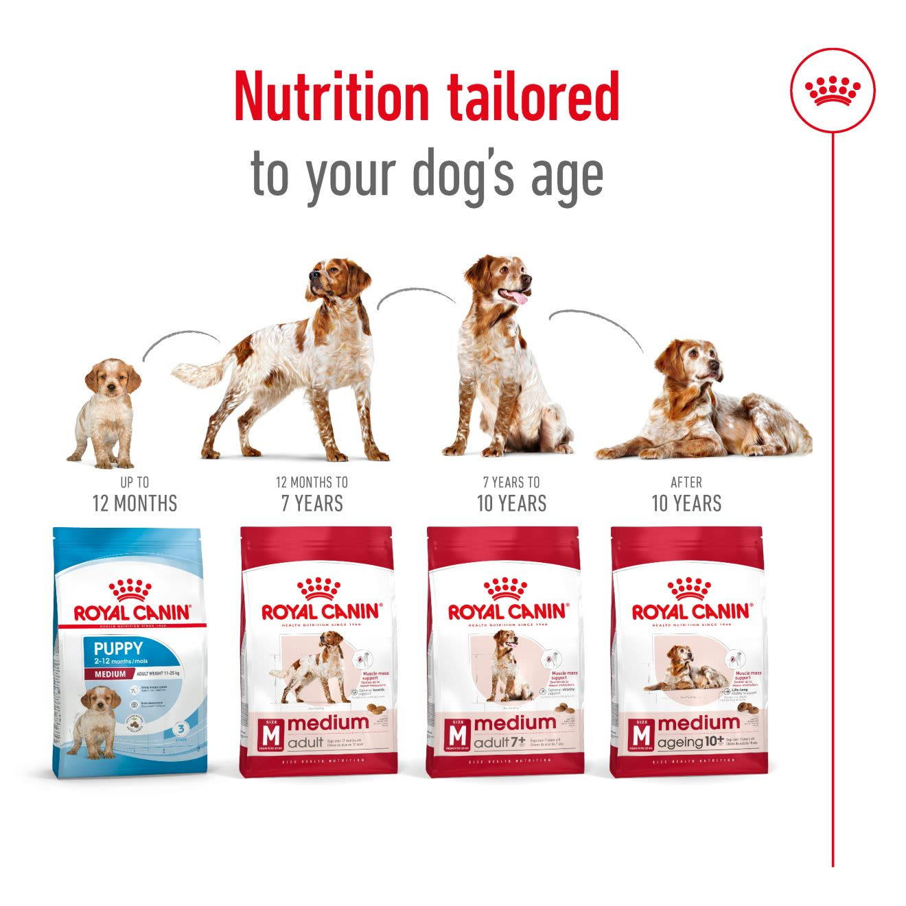 Royal Canin Medium Adult 7+ Dry Dog Food