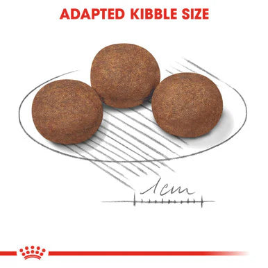 Royal Canin Medium Puppy Dry Dog Food