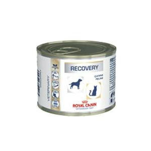Royal Canin Recovery Cats/Dogs