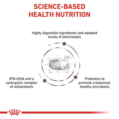 Royal Canin Veterinary Diet Gastrointestinal Moderate Calorie Adult Dry Cat Food