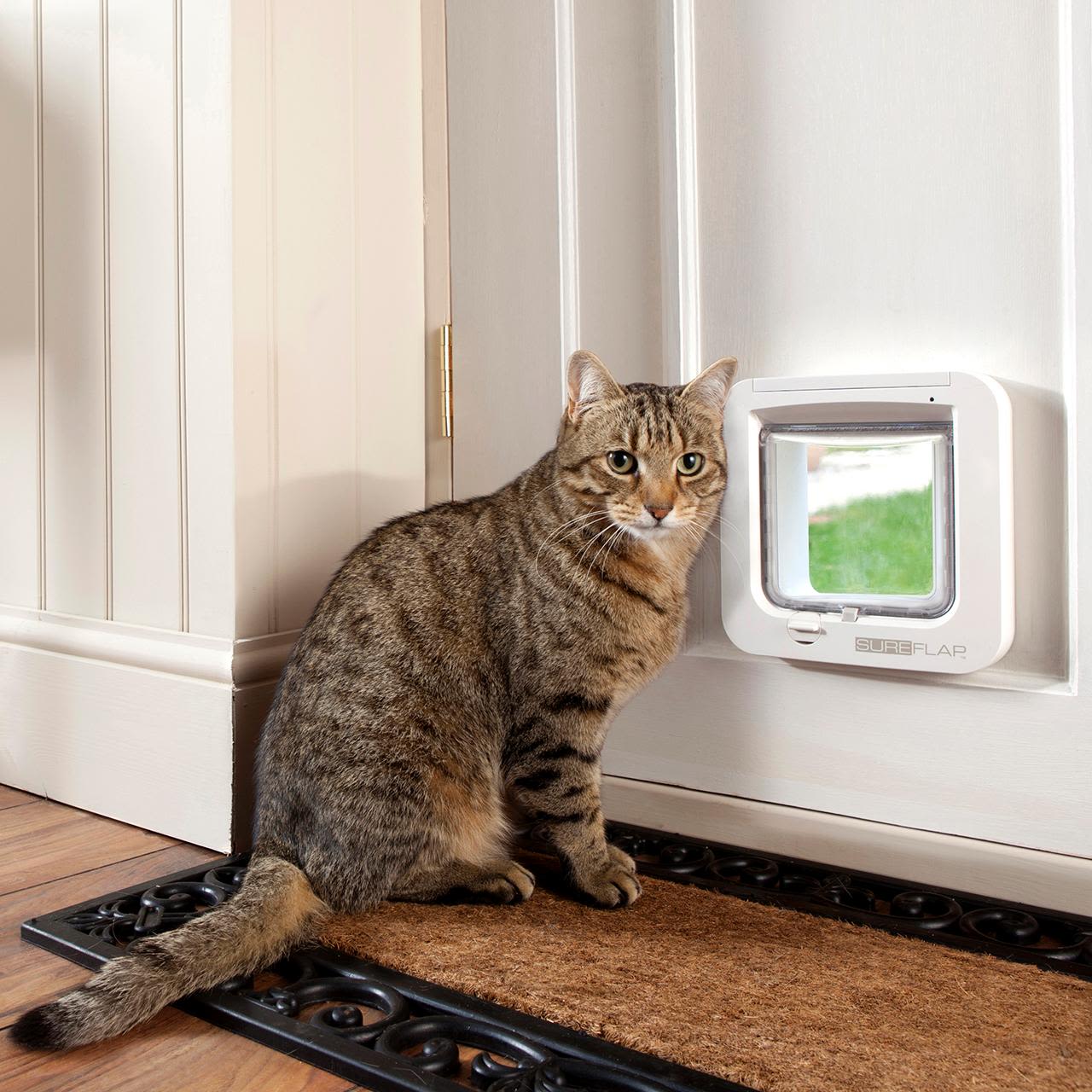 SURE FLAP Microchip Cat Flap ペットドア Sureflap Microchip Cat Flap - White – Pet Supermarket