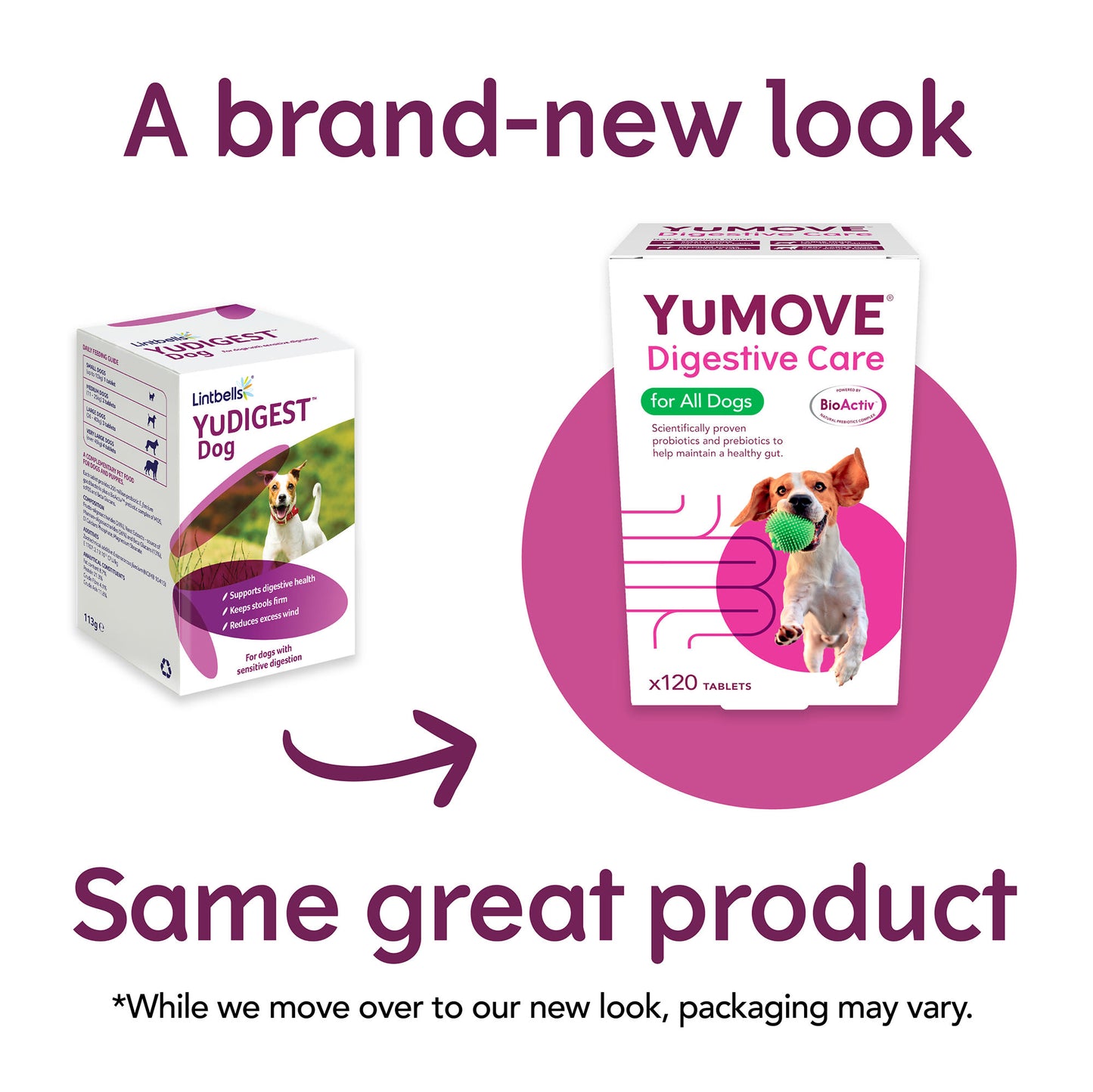 YuMOVE Digestive Care Dog Supplement Tablets