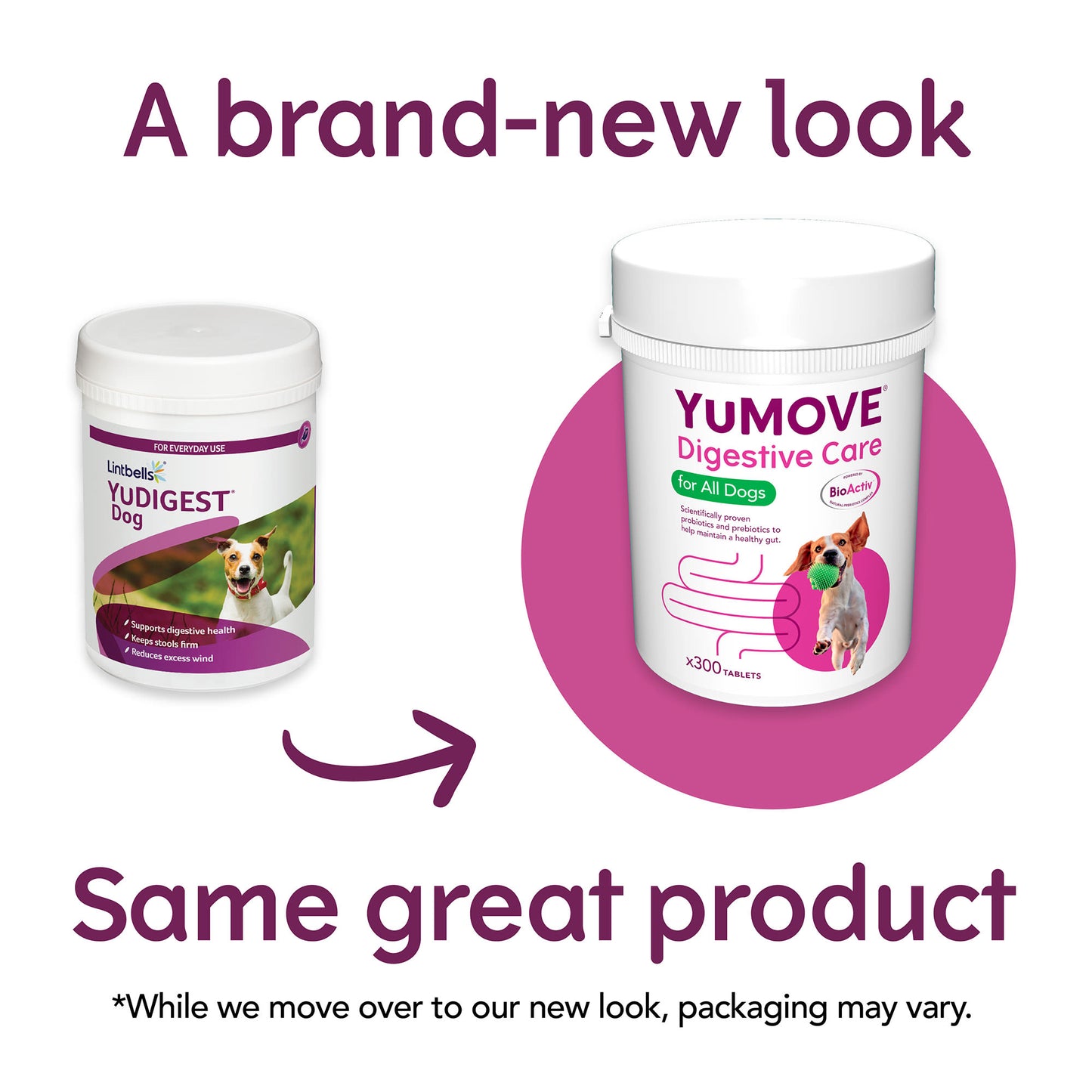 YuMOVE Digestive Care Dog Supplement Tablets