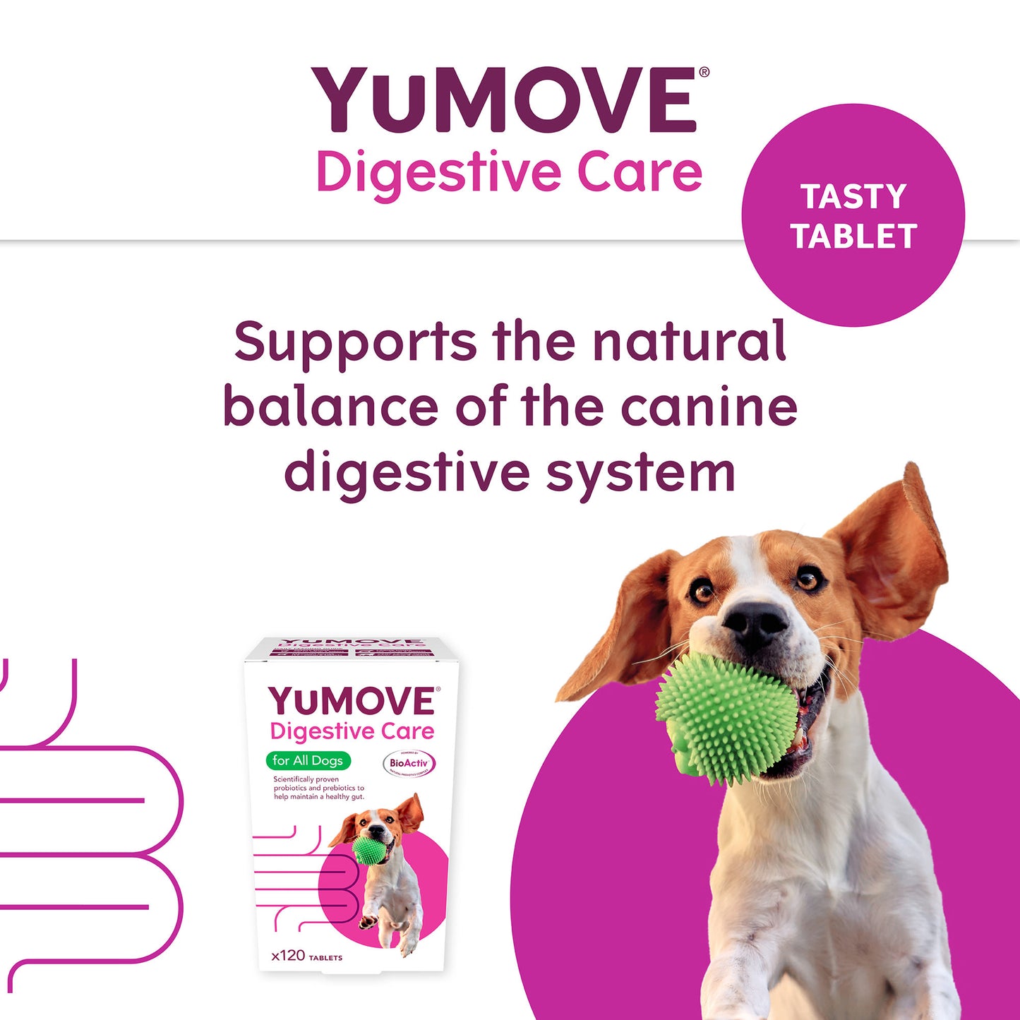 YuMOVE Digestive Care Dog Supplement Tablets