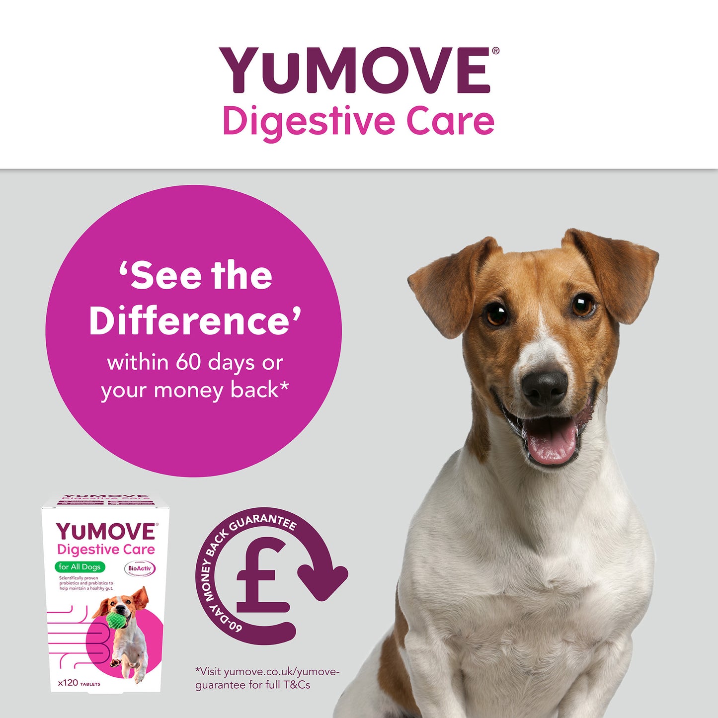 YuMOVE Digestive Care Dog Supplement Tablets