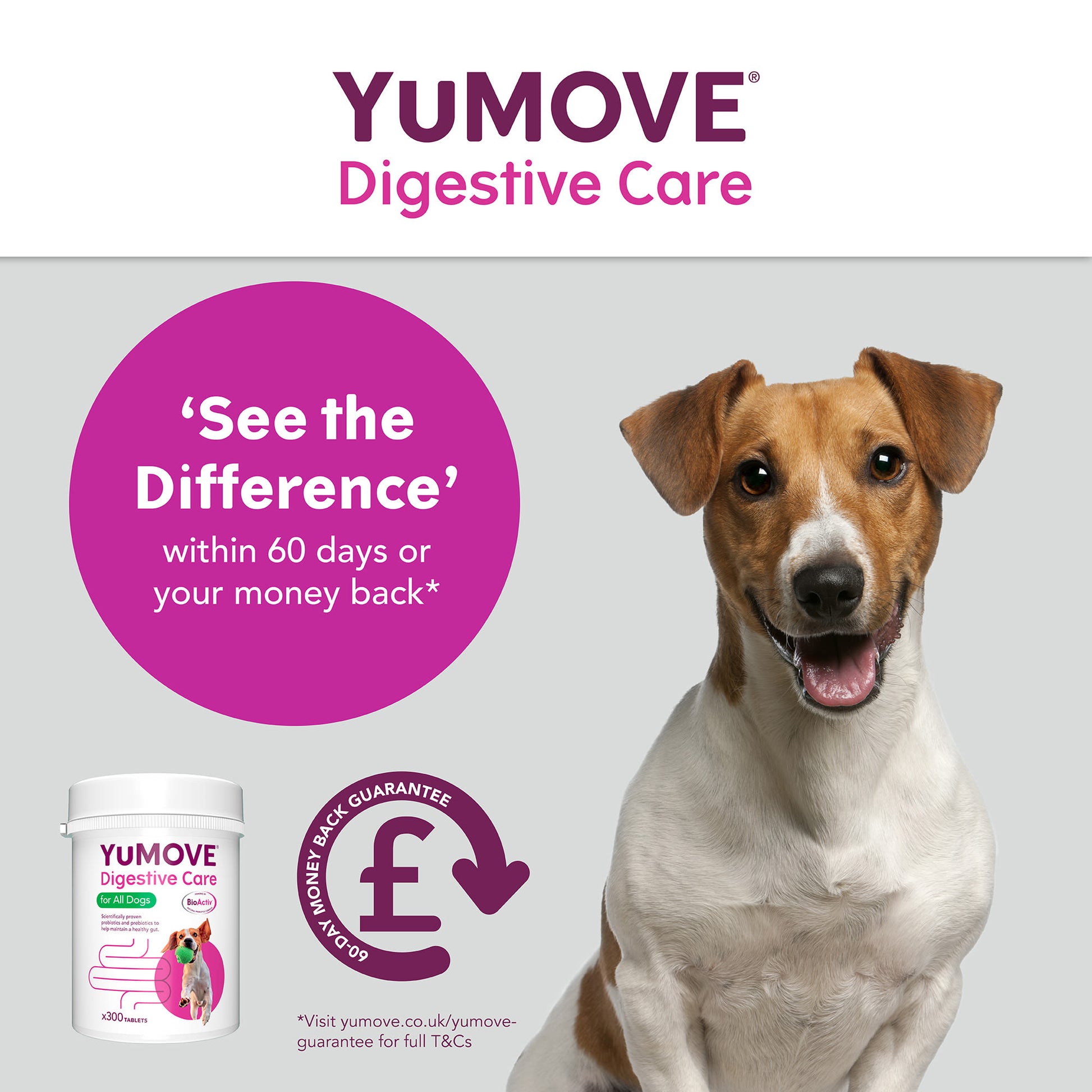 YuMOVE Digestive Care Dog Supplement Tablets – Pet Supermarket