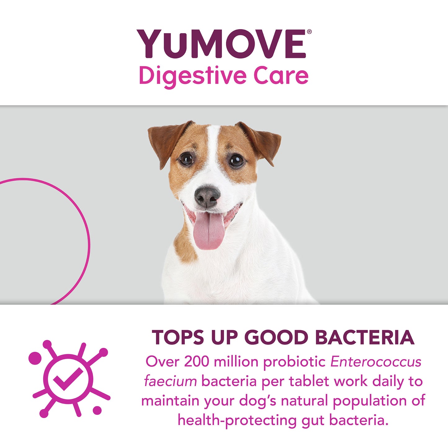YuMOVE Digestive Care Dog Supplement Tablets
