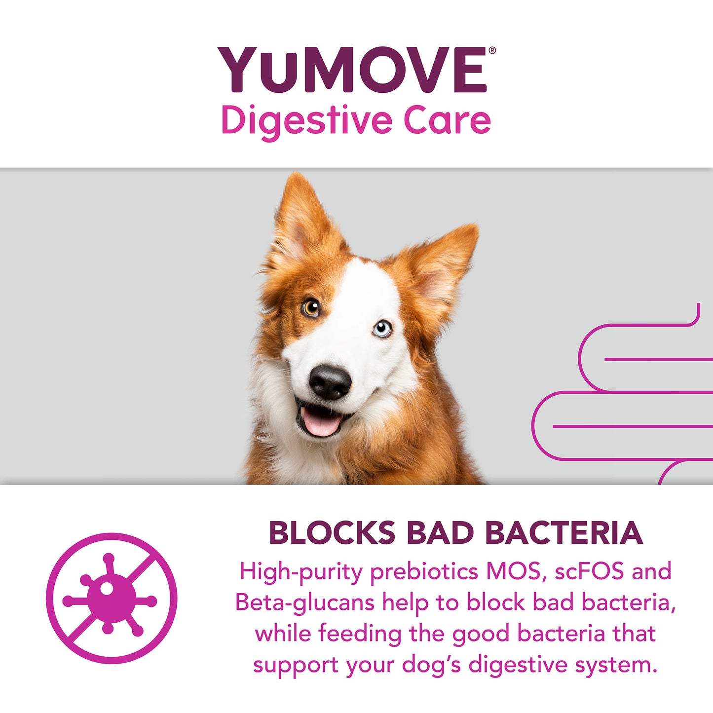 YuMOVE Digestive Care Dog Supplement Tablets