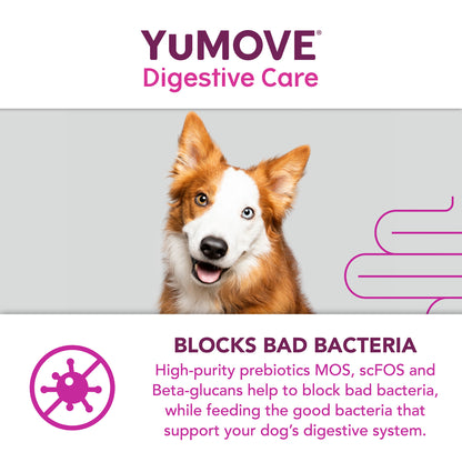 YuMOVE Digestive Care Dog Supplement Tablets