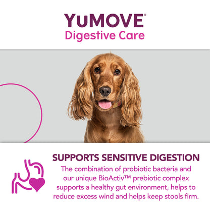 YuMOVE Digestive Care Dog Supplement Tablets