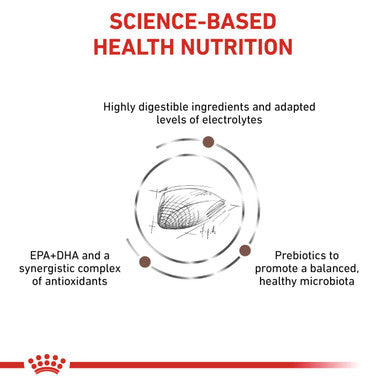 Royal Canin Veterinary Diet Gastrointestinal Adult Dry Cat Food