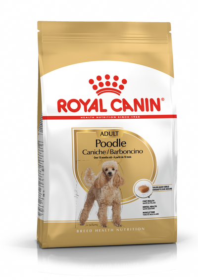 Royal Canin Poodle Adult Dry Dog Food