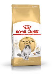 Royal Canin Bread Norwegian Forest Adult Dry Cat Food