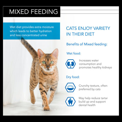 Pro Plan NutriSavour Kitten Turkey