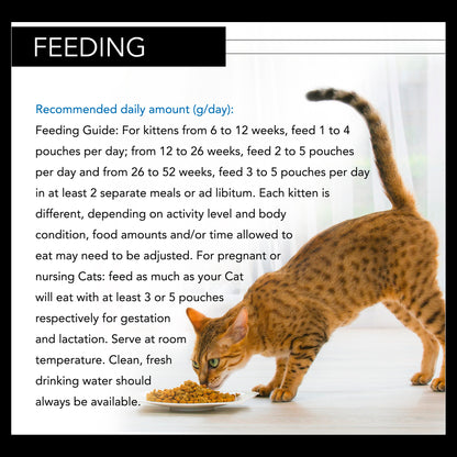 Pro Plan NutriSavour Kitten Turkey