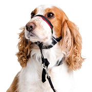 Halti Optifit Headcollar