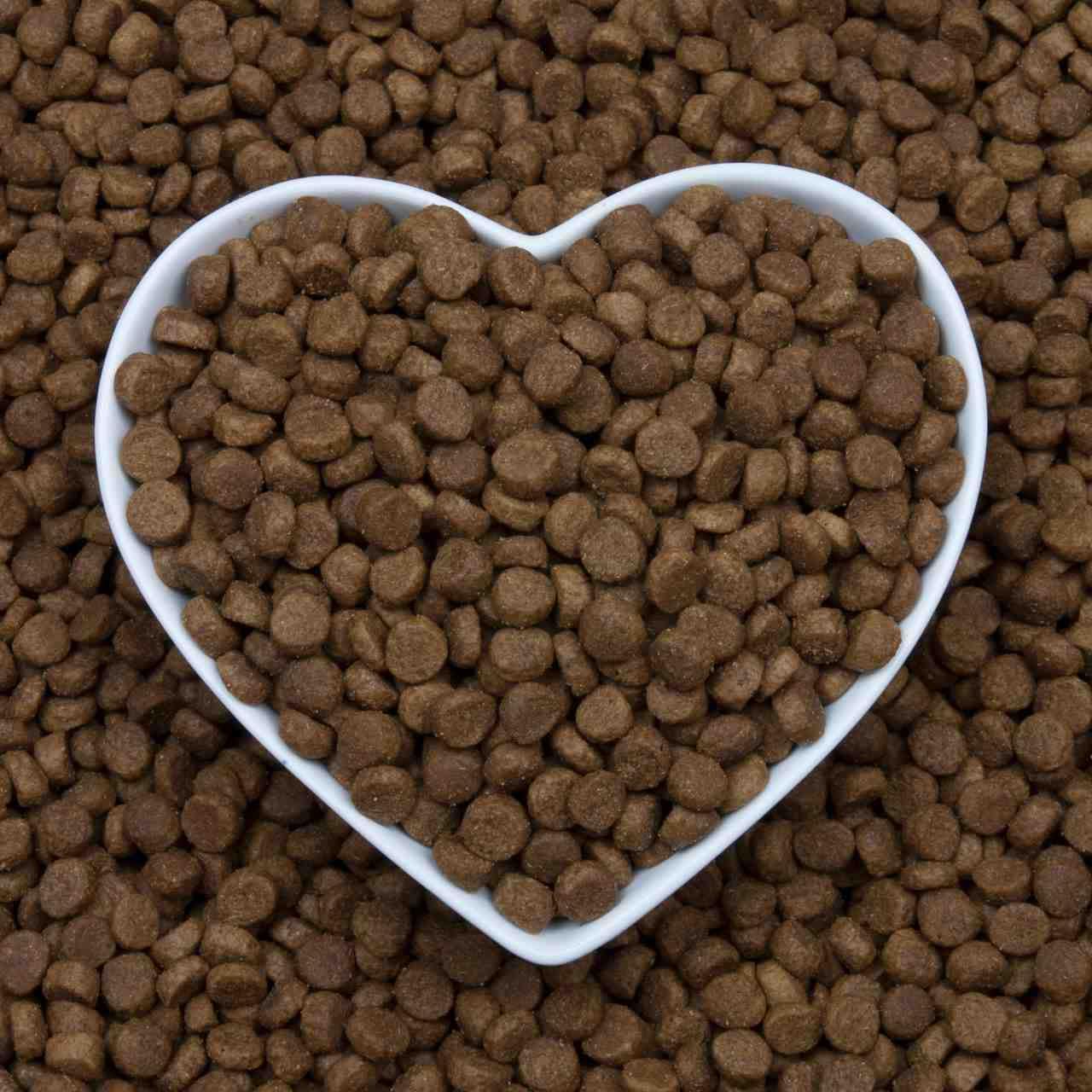 Barking Heads Tiny Paws Tender Loving Care