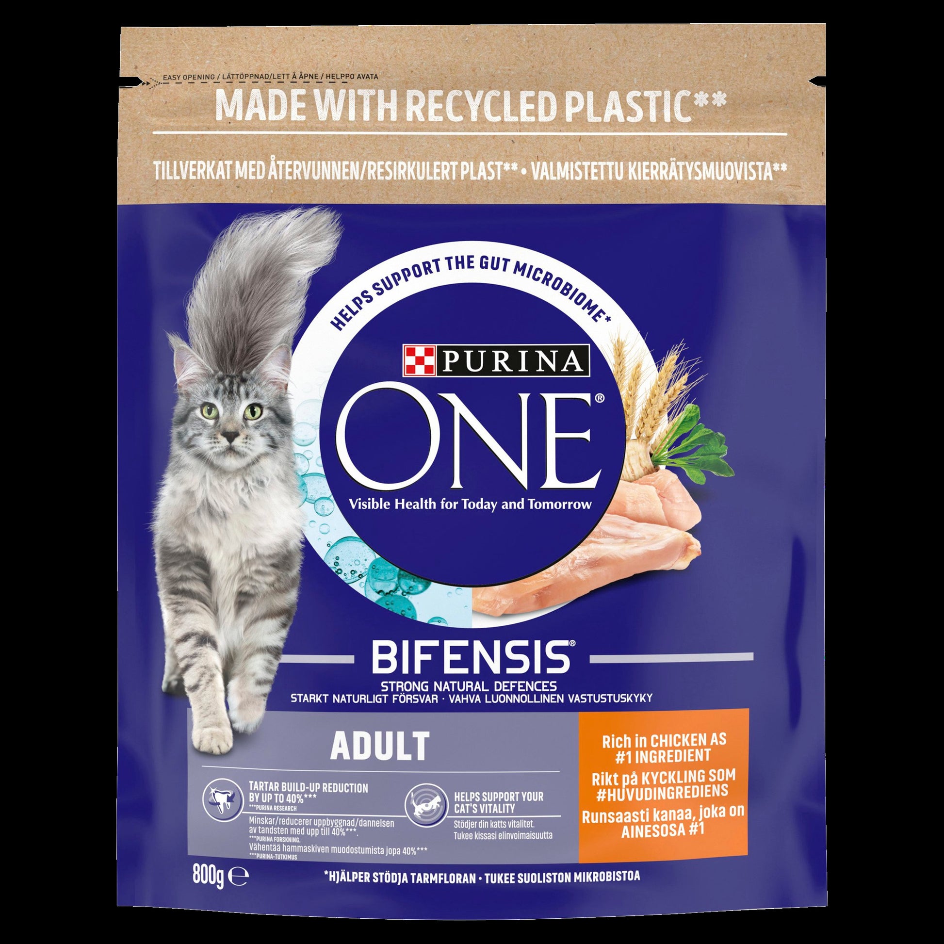 Purina ONE Adult Dry Cat Food Chicken Whole Grains – Pet