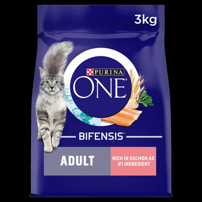 Purina ONE Adult Dry Cat Food - Salmon & Whole Grains