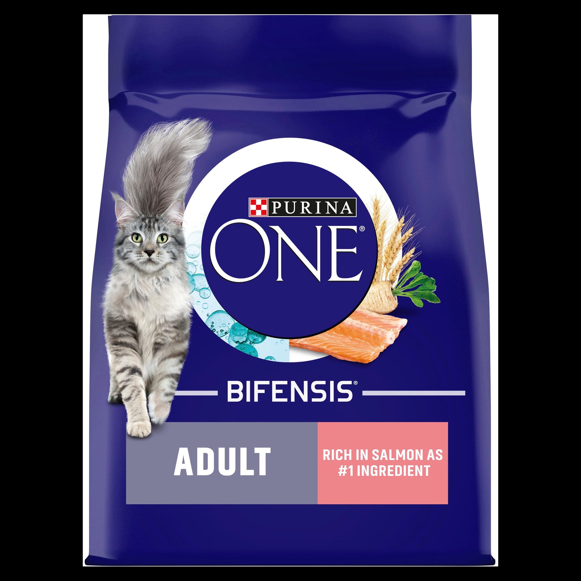 Purina ONE Adult Dry Cat Food Salmon Whole Grains – Pet