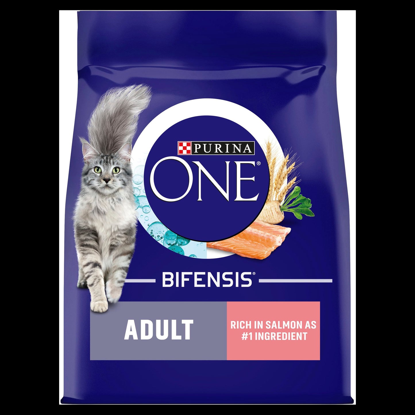 Purina ONE Adult Dry Cat Food - Salmon & Whole Grains