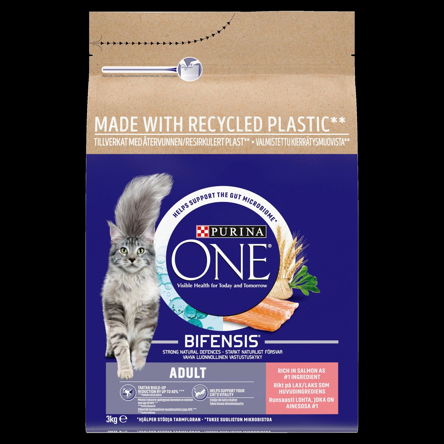 Purina ONE Adult Dry Cat Food - Salmon & Whole Grains