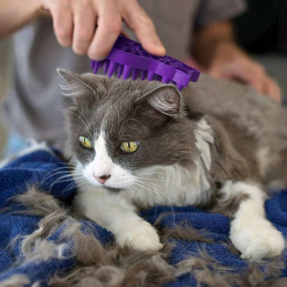 KONG Cat Zoom Groom Brush in Violet