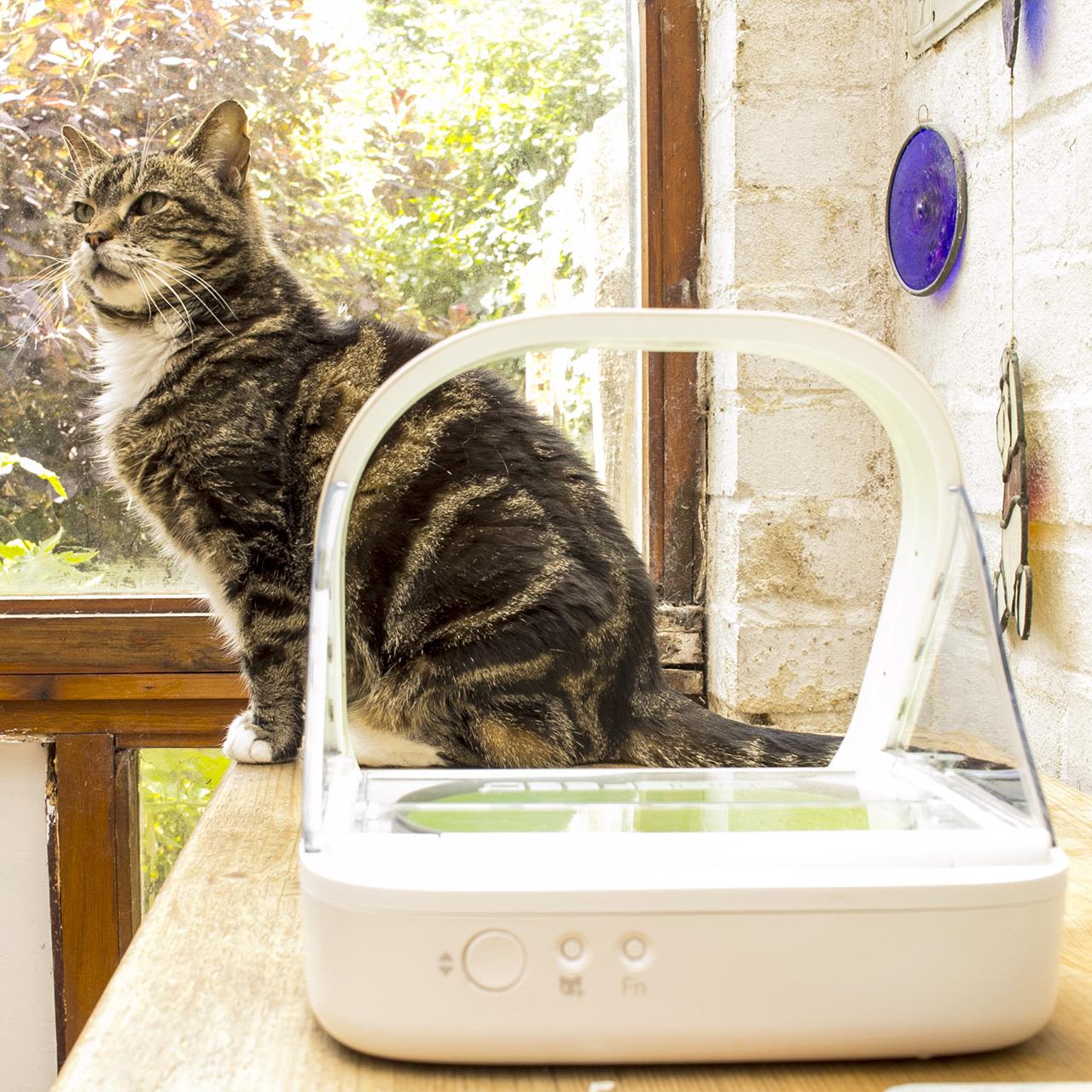Surefeed Microchip Feeder Amazon Cat Feeder Chip Automatic Cat