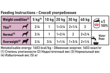 Royal Canin Renal Special Adult Wet Dog Food in Loaf