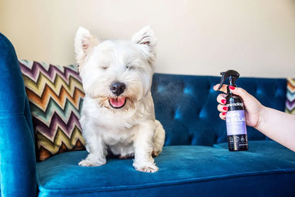 Animology Paws & Relax Aromatherapy Spray