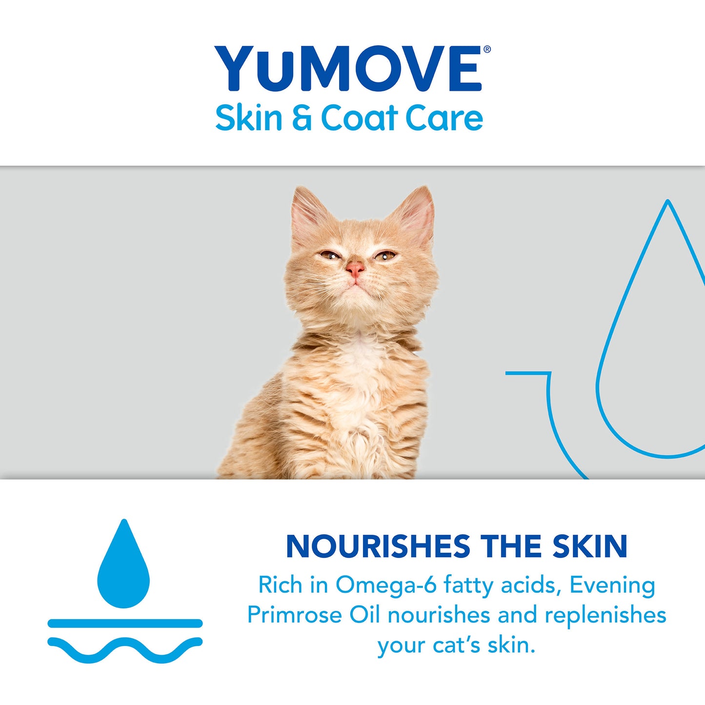 YuMOVE Skin & Coat Care Moulting Supplement Oil for Cats