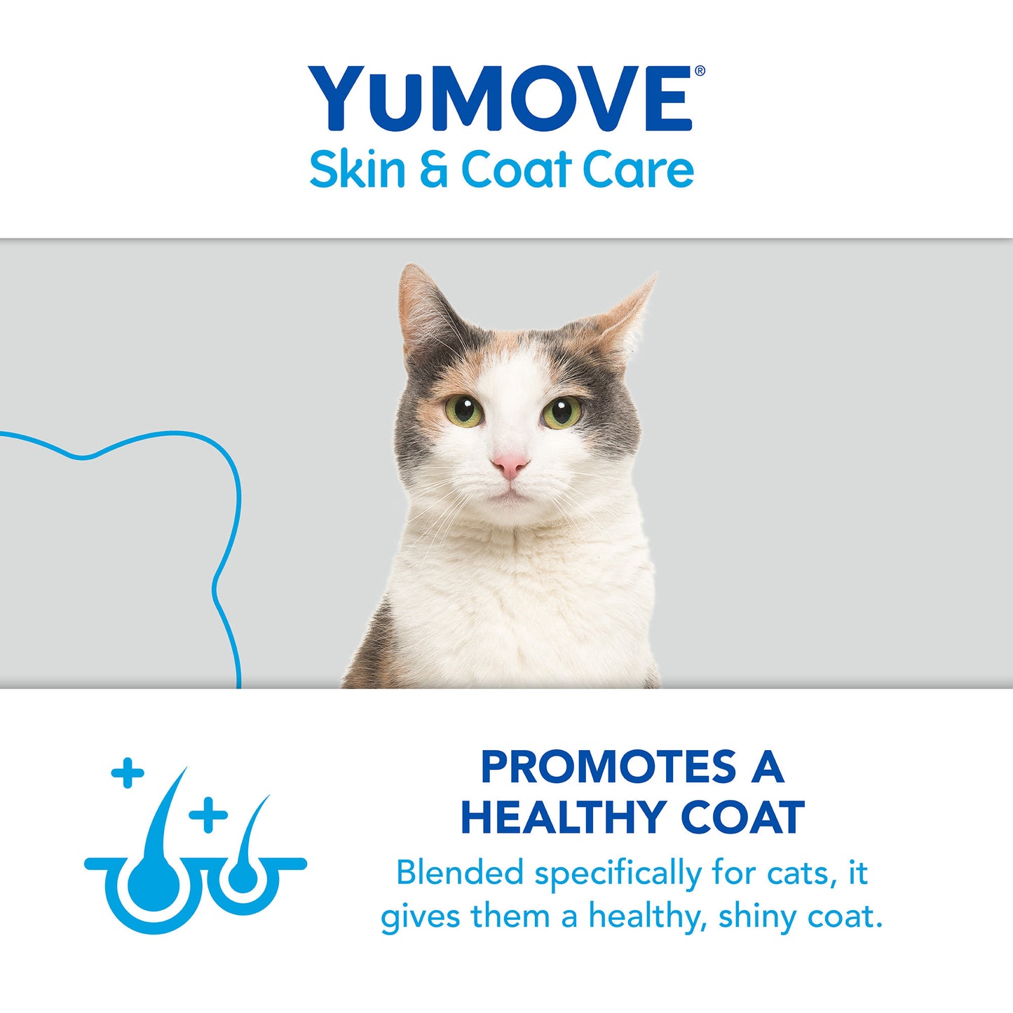 YuMOVE Skin & Coat Care Moulting Supplement Oil for Cats