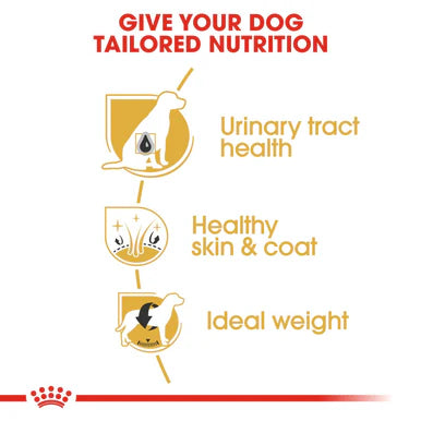 Royal Canin Bichon Frise Adult Dry Dog Food