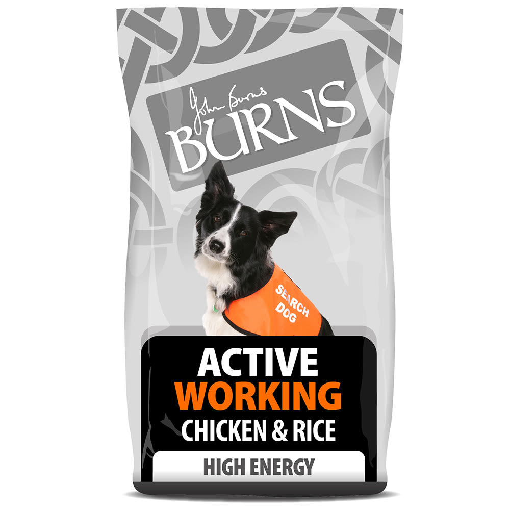Burns Active Adult Dry Dog Food - Chicken & Rice