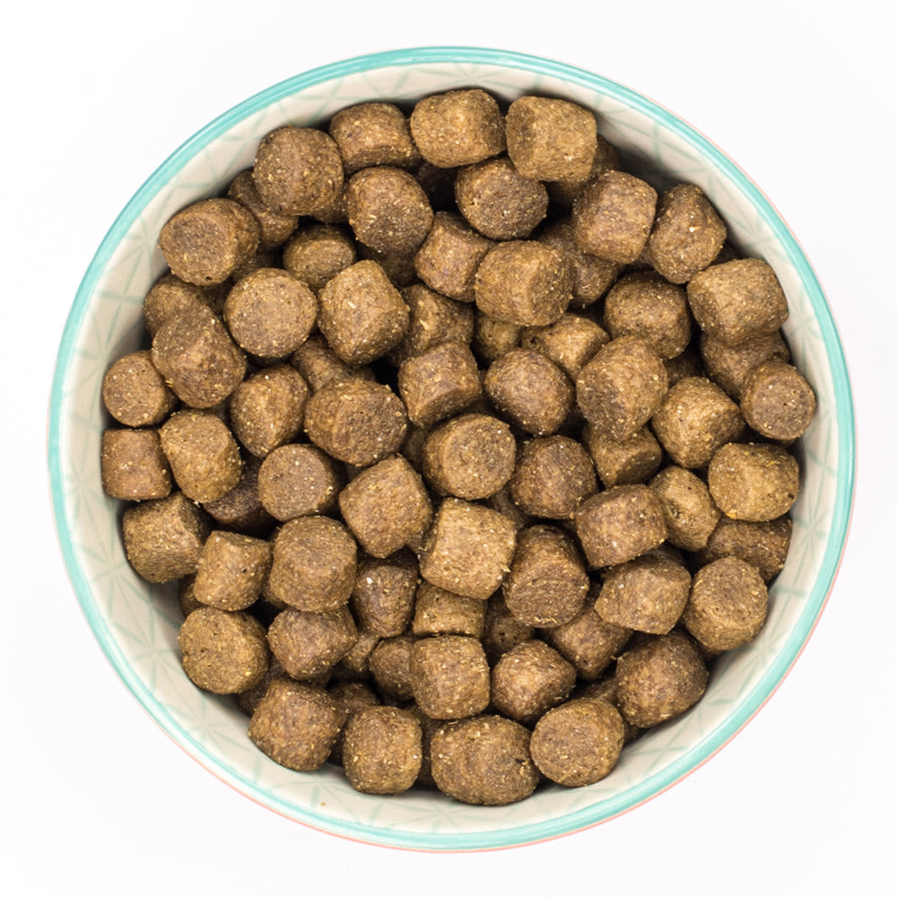 Burns Active Adult Dry Dog Food - Chicken & Rice