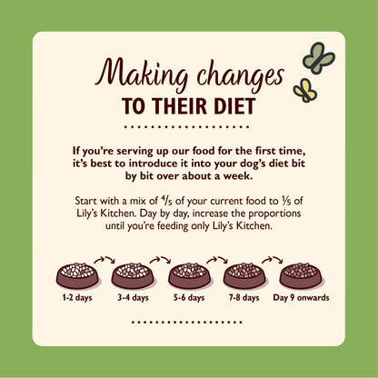 Lily's Kitchen Breakfast Crunch