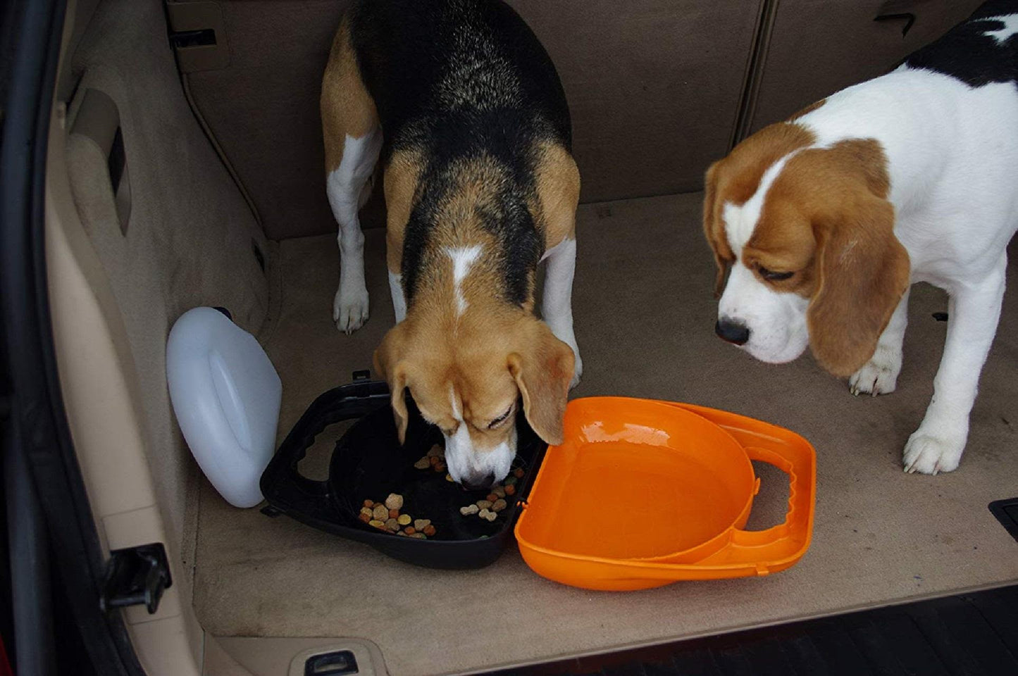 Pet Brands Rac Travel Food & Water Box