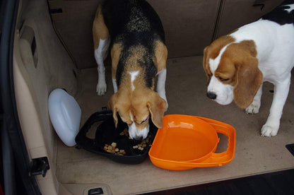 Pet Brands Rac Travel Food & Water Box