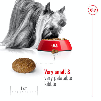 Royal Canin X-Small Adult 8+ Dry Dog Food