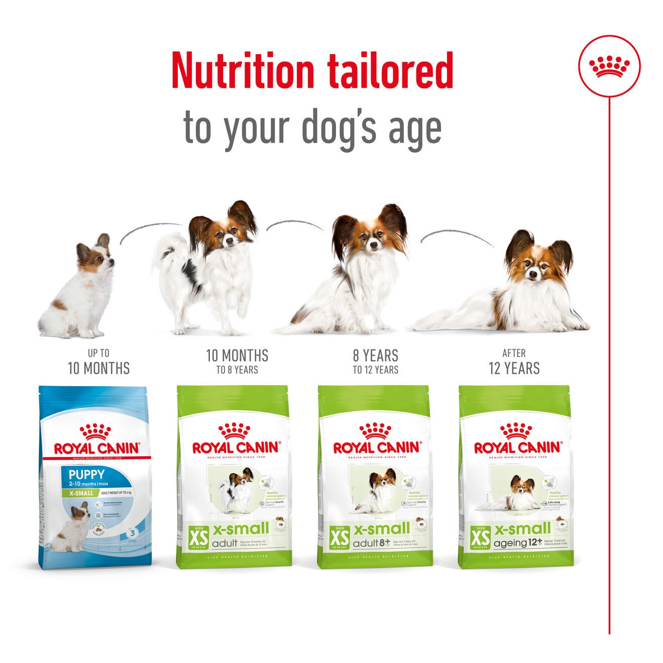 Royal Canin X-Small Adult 8+ Dry Dog Food
