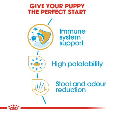 Royal Canin Chihuahua Puppy Dry Dog Food