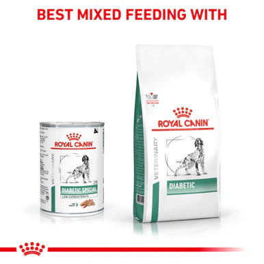 Royal Canin Diabetic Special Adult Wet Dog Food