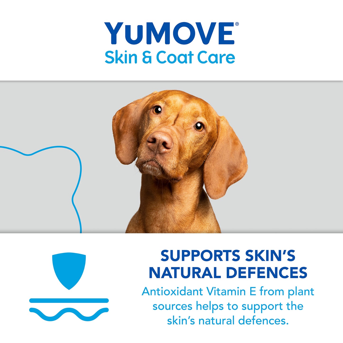 YuMOVE Skin & Coat Care Itching Supplement Oil for Dogs